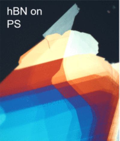 ../../images/news/2022_NL_MA.png